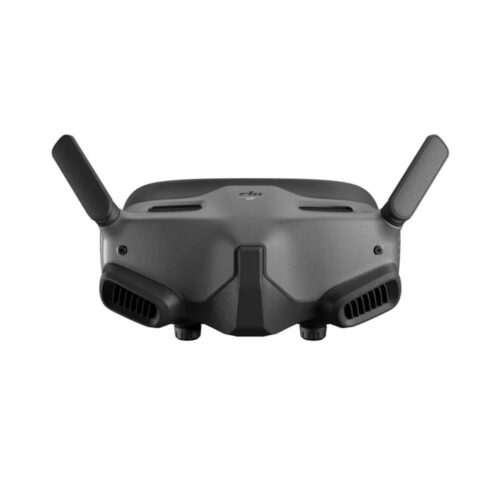 DJI  GOGGLES 2